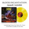 Blood Incantation : Absolute Elsewhere