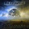 Labyrinth : The vanish echoes of goodbye