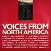 V/A / Half Japanese : Voices From North America