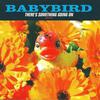 Babybird : There's Something Going On