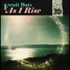 Fruit Bats / Mitchell, Anais : As I Rise b/w Grace Cathedral Hill