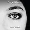 Gilmour, David / David Gilmour & Romany Gilmour : Between two points