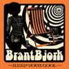 Bjork, Brant : Keep your cool (yellow)