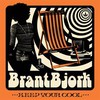 Bjork, Brant : Keep your cool (black/orange)