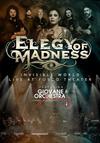 Elegy Of Madness Feat. Giovane Orchestra Jonica : Live at fusco theater