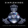 Simple Minds : Live in the city of diamonds