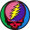 Grateful Dead : Multicoloured Steal Your Face
