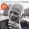 V/A : David Gilmour & Friends