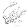 Black Motor : Branches