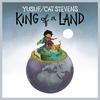 Stevens, Cat / Yusuf : King of a Land