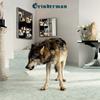 Grinderman : Grinderman 2