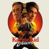 Karate kid: legends