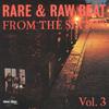 V/A / Silhouettes / Pipelines : Rare & Raw Beat From The Sixties Vol.3