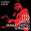 Davis, Cedell : Feel like doin'something wrong