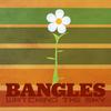 Bangles : Watching The Sky - The Bangles Box Set