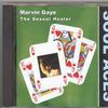 Gaye, Marvin : The Sexual Healer (Soul Aces)