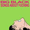 Big Black : Songs About Fucking