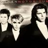 Duran Duran : Notorious