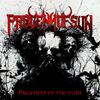 Progeny Of Sun : Prophets of the Void