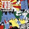 Ted Leo & The Pharmacists : Shake The Sheets