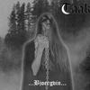 Taake : Over bjoergvin graater himmerik