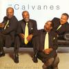 Calvanes : In Harmony