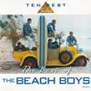 Beach Boys : The Best Of The Beach Boys