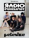Radiopuhelimet / Hurme, Juha : Radiopuhelimet palasina