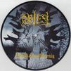 Obtest : Dvylika Juodvarnių - Picture Disc