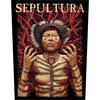 Sepultura : Roots