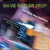 Dave Gisler Trio : The flying mega doghouse