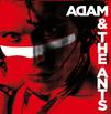 Ant, Adam / Adam And The Ants : The singles