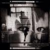 Sopor Aeternus & the Ensemble of Shadows : Todeswunsch - Sous le soleil de Saturne