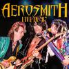 Aerosmith : Live in '87
