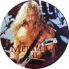 Metallica : Limited Edition Interview Picture Disc II