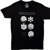 Pink Floyd : Flowers