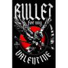 Bullet For My Valentine : The poison/crow