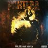Pantera : Far Beyond Driven