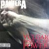 Pantera : Vulgar Display Of Power