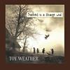Toy Weather : Feathers in a strange wind
