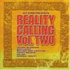 V/A : Reality Calling Vol. Two