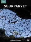 Suurparvet - Superswarm