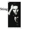 Sting : Nothing Like The Sun