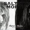 Saltatio Mortis : Licht & Schatten - Best Of 2000-2014