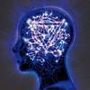 Enter Shikari : The Mindsweep
