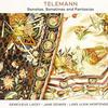 Lacey Genevieve / Mortensen Lars : Telemannsonatas etc