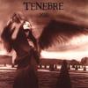 Tenebre : XIII