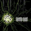 Lamb of God : Into oblivion