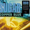 Sugar : Copper blue