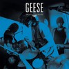 Geese : Live at third man records